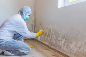 Environmental Consulting for Mold Prevention in Logan, IA