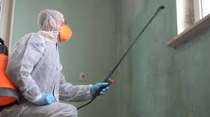 Best Industrial Mold Remediation  in Logan, IA