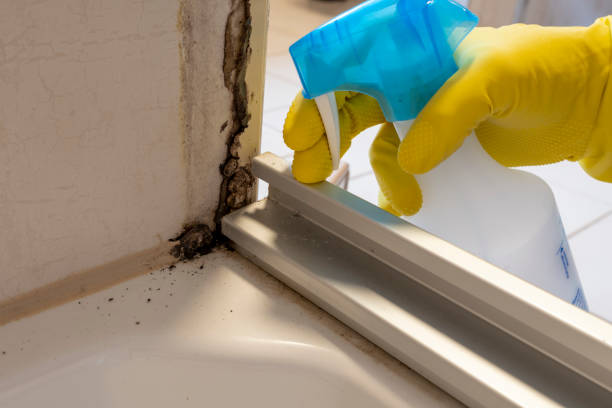 Best Emergency Mold Remediation  in Logan, IA