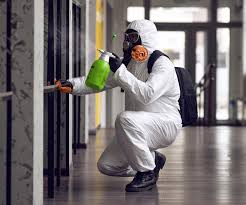 Professional Mold Remediation in Logan, IA