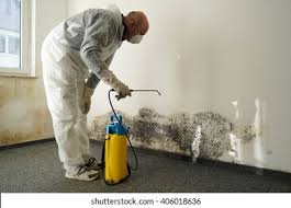 Best Residential Mold Inspection & Testing  in Logan, IA